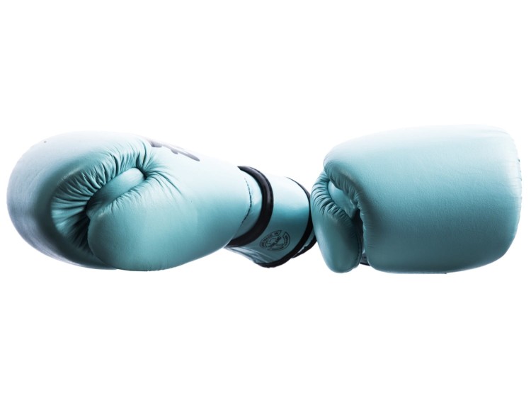 RĘKAWICE BOKSERSKIE FAIRTEX BGV20 (light blue) (4).jpg