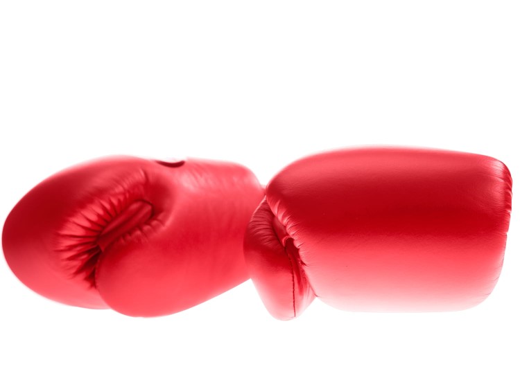 rękawice bokserskie_TWINS_BGVL-3 (red) (6).jpg