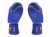 rękawice bokserskie_twins_bgvl-3 (blue) (9).jpg