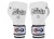 rękawice bookserskie FAIRTEX_BGV9_white (3).jpg