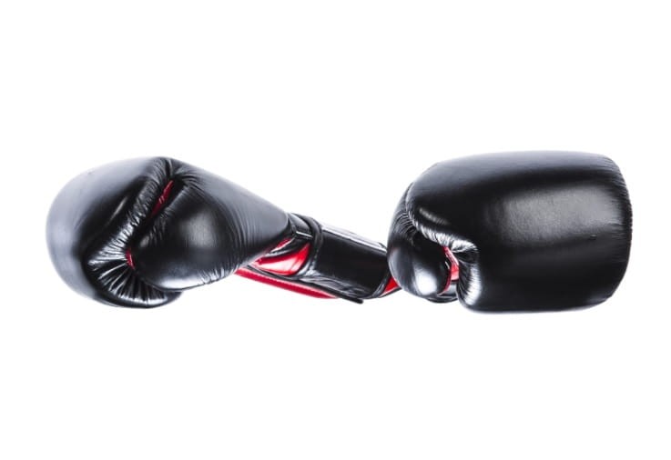 RĘKAWICE BOKSERSKIE FAIRTEX BGV9 (blackred palm) Mexican Style (4).jpg