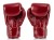 Rękawice bokserskie FAIRTEX ONE X ONE Championship (red) (4).jpg