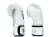 Rękawice bokserskie FAIRTEX ONE X ONE Championship (white) (3).jpg