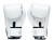 Rękawice bokserskie FAIRTEX ONE X ONE Championship (white) (4).jpg