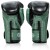 Rękawice bokserskie FAIRTEX FXB BG V2 (blackgreen) (4).jpg