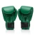 Rękawice-bokserskie-FAIRTEX-BGV-Premium-Resurrection-X-Tom-Atencio (4).webp