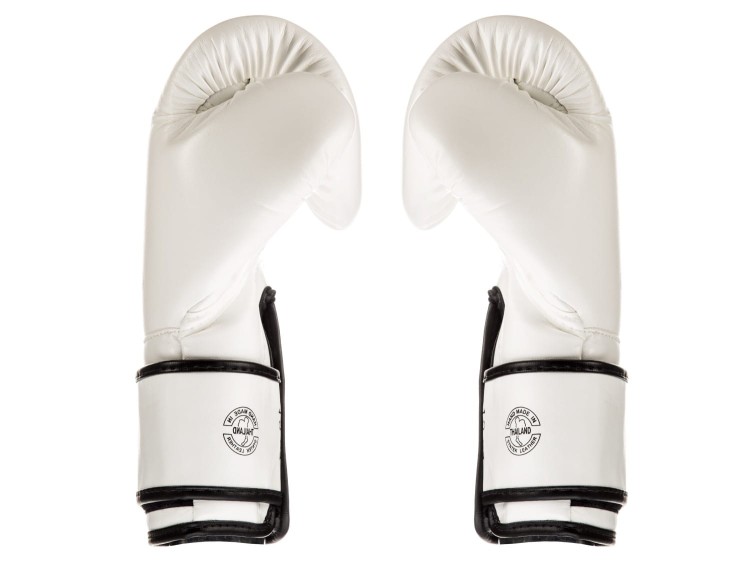 RĘKAWICE BOKSERSKIE FAIRTEX BGV14 (white) Microfiber (2).jpg